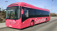 Flota de autobuses INTERBUS modelo 4 rosa