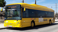 Flota de autobuses INTERBUS modelo 5 amarillo